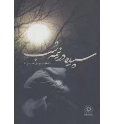 کتاب سپیده در نیمه شب