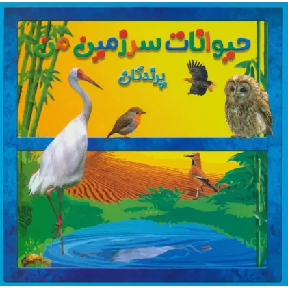 کتاب حیوانات سرزمین من (پرندگان)،(گلاسه)