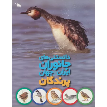 کتاب دانستنی های جانوران ایران و جهان (پرندگان)،(گلاسه)