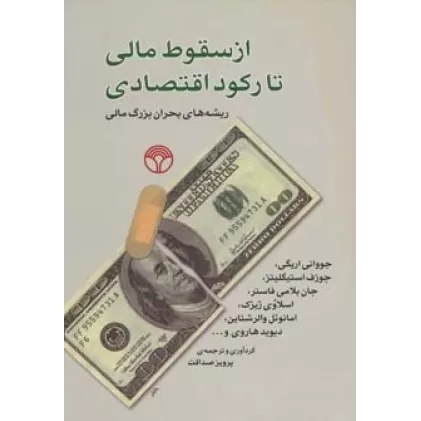 کتاب از سقوط مالی تا رکود اقتصادی (ریشه های بحران بزرگ مالی)