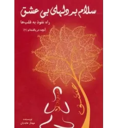کتاب سلام بر دلهای بی عشق (راه نفوذ به قلب ها)،(آنچه دریافته ام 2)