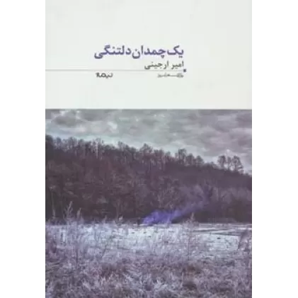 کتاب 1 چمدان دلتنگی (پازل شعر امروز35)