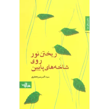 کتاب ریختن نور روی شاخه های پایین (داستان ما،رمان ایرانی19)