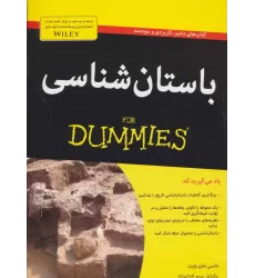 کتاب های دامیز (باستان شناسی)