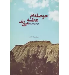 کتاب حوصله ام عطسه می زند (مجموعه شعر)