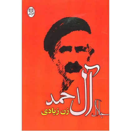 کتاب زن زیادی (مجموعه آثار24)
