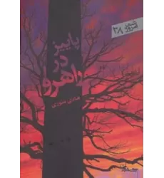 کتاب پاییز در راهرو (شعر امروز38)