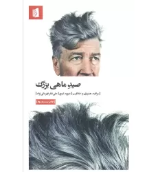 کتاب صید ماهی بزرگ (مراقبه،هشیاری و خلاقیت)