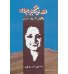 کتاب سرگیجه (وقایع یک روز اداری)