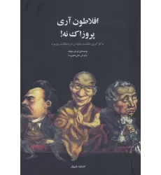 کتاب افلاطون آری پروزاک نه! (به کارگیری حکمت جاودان در مشکلات روزمره)