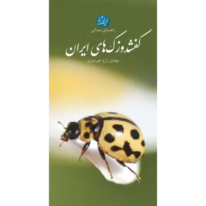 کتاب راهنمای میدانی کفشدوزک های ایران (گلاسه)