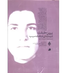 کتاب پروین حقیقت،در سایه ی درخت سیب (به روایت ایمان احمدزاده خلیفه)
