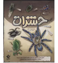 کتاب برجسته حشرات (حقایق جالب و تصاویر سه بعدی شگفت انگیز از دنیای بندپاها)،(گلاسه)