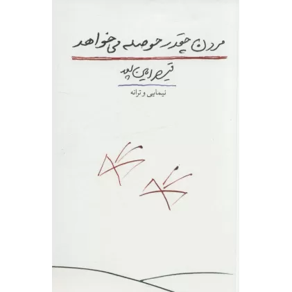 دفتر شعر نو 1 (مردن چقدر حوصله می خواهد:نیمایی و ترانه)