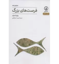 کتاب فرصت های بزرگ (جهان نمایش14)