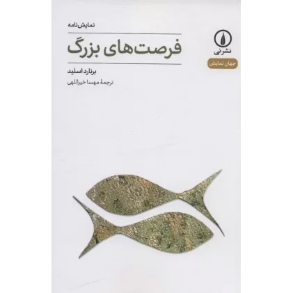 کتاب فرصت های بزرگ (جهان نمایش14)
