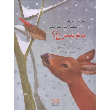 کتاب در این برف اینجا چه می کنی دم سرخ؟