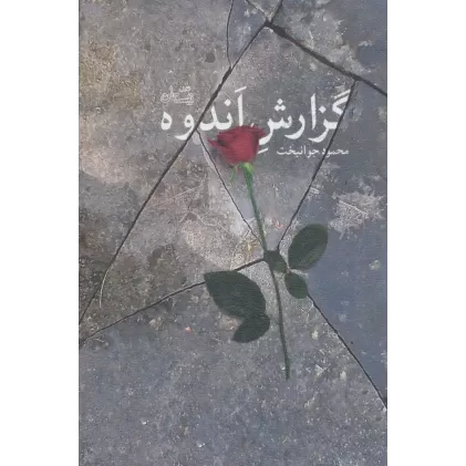 کتاب گزارش اندوه (ادبیات برتر،رمان91)