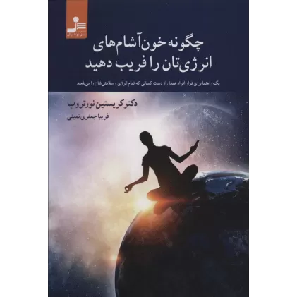کتاب چگونه خون آشام های انرژی تان را فریب دهید
