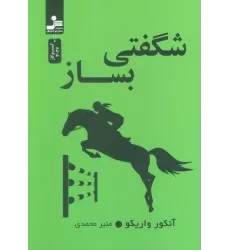 کتاب شگفتی بساز