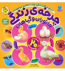 کتاب چرخه ی زندگی جانوران و گیاهان (دنیای شگفت انگیز تولد تا تکامل موجودات)