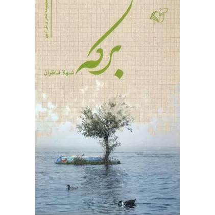 کتاب برکه