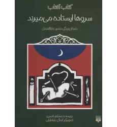 سروها ایستاده می میرند (داستان زندگی حضرت اباالفضل)،(کتاب آفتاب)