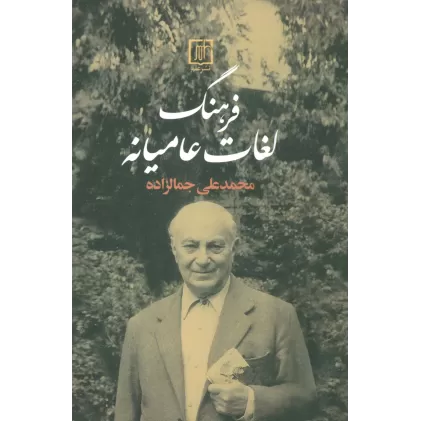 کتاب فرهنگ لغات عامیانه