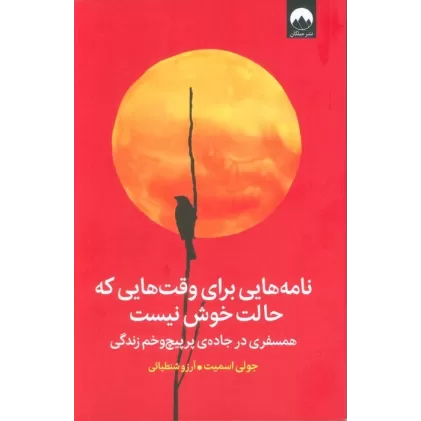 کتاب نامه هایی برای وقت هایی که حالت خوش نیست (همسفری در جاده ی پرپیچ و خم زندگی)