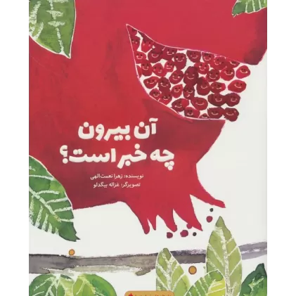 کتاب آن بیرون چه خبر است؟ (گلاسه)