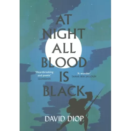 کتاب AT NIGHT ALL BLOOD IS BLACK:در شب همه خون ها سیاه است (زبان اصلی،انگلیسی)