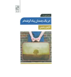 کتاب در یک چمدان پناه گرفته ام (شعر امروز ما)