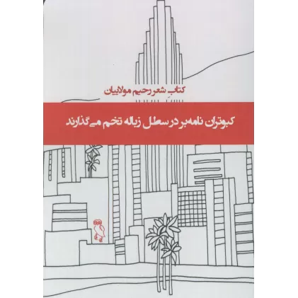 کبوتران نامه بر در سطل زباله تخم می گذارند (کتاب شعر)