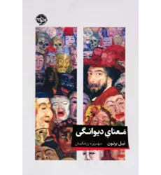 کتاب معنای دیوانگی