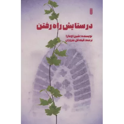 کتاب در ستایش راه رفتن