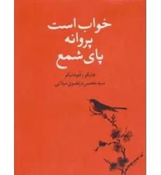 کتاب خواب است پروانه پای شمع (هایکو و فتوهایکو)