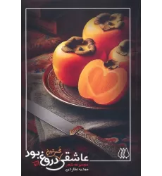 کتاب عاشقی گس ترین دروغ تو بود...