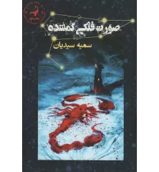 کتاب صورت فلکی گمشده (آتشدان)