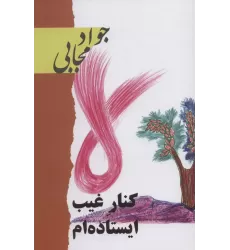 کتاب کنار غیب ایستاده ام