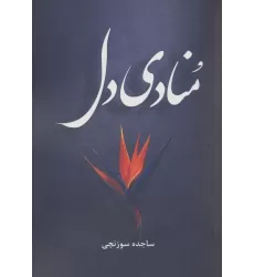 کتاب منادی دل