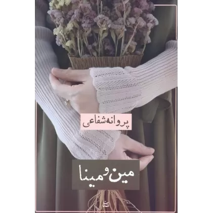 کتاب مین و مینا