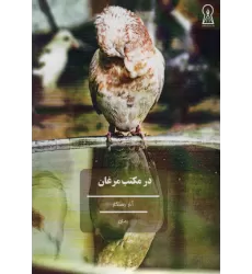 کتاب در مکتب مرغان