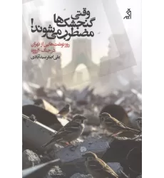 کتاب وقتی گنجشک ها مضطرب می شوند! (روزنوشت هایی از تهران در جنگ 40 روزه)