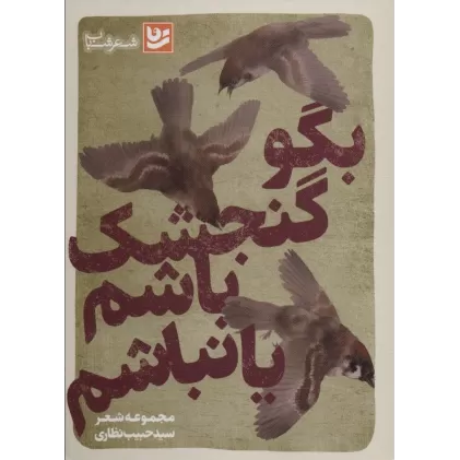 کتاب بگو گنجشک باشم یا نباشم (شعر شباب29)