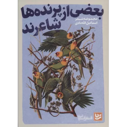 کتاب بعضی از پرنده ها شاعرند (شعر شباب24)