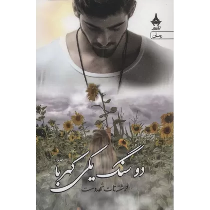 کتاب دو سنگ یکی کهربا (2جلدی)