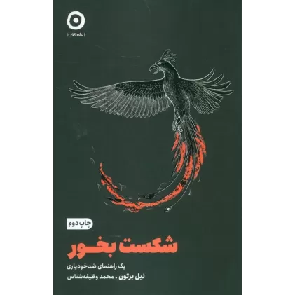 کتاب شکست بخور (یک راهنمای ضد خودیاری)