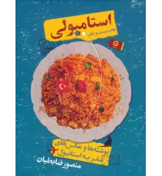 کتاب استامبولی (نوشته ها و عکس های سفر به استانبول)