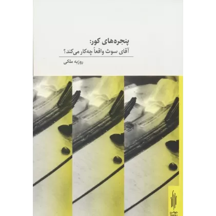 کتاب پنجره های کور:آقای سوث واقعا چه کار می کند؟ (2زبانه)