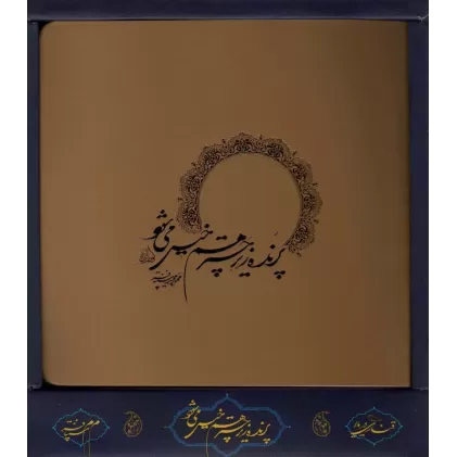 کتاب پرنده زیر چتر هم خیس می شود (باجعبه)